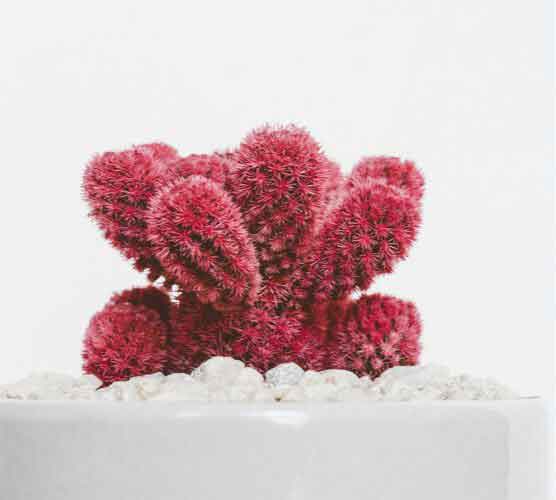 短信轰炸网页版